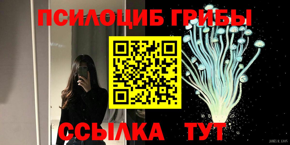 Галлюциногенные грибы Psilocybine cubensis Обнинск