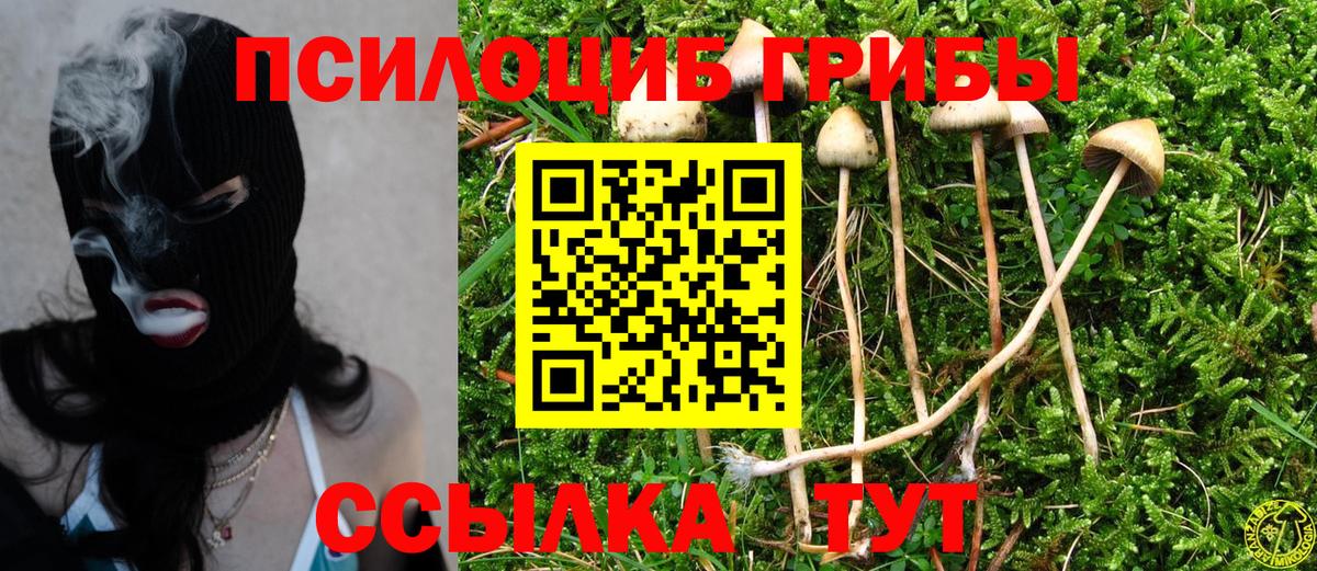Обнинск  Псилоцибиновые грибы мицелий  Псилоцибиновые грибы прущие грибы  Вход с VPN 